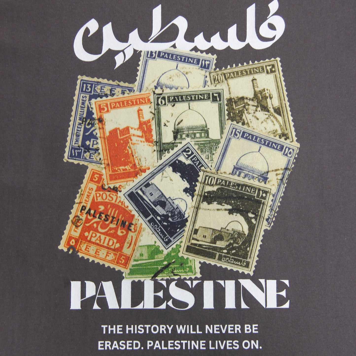 History Won't Be Erased Heavyweight Tee