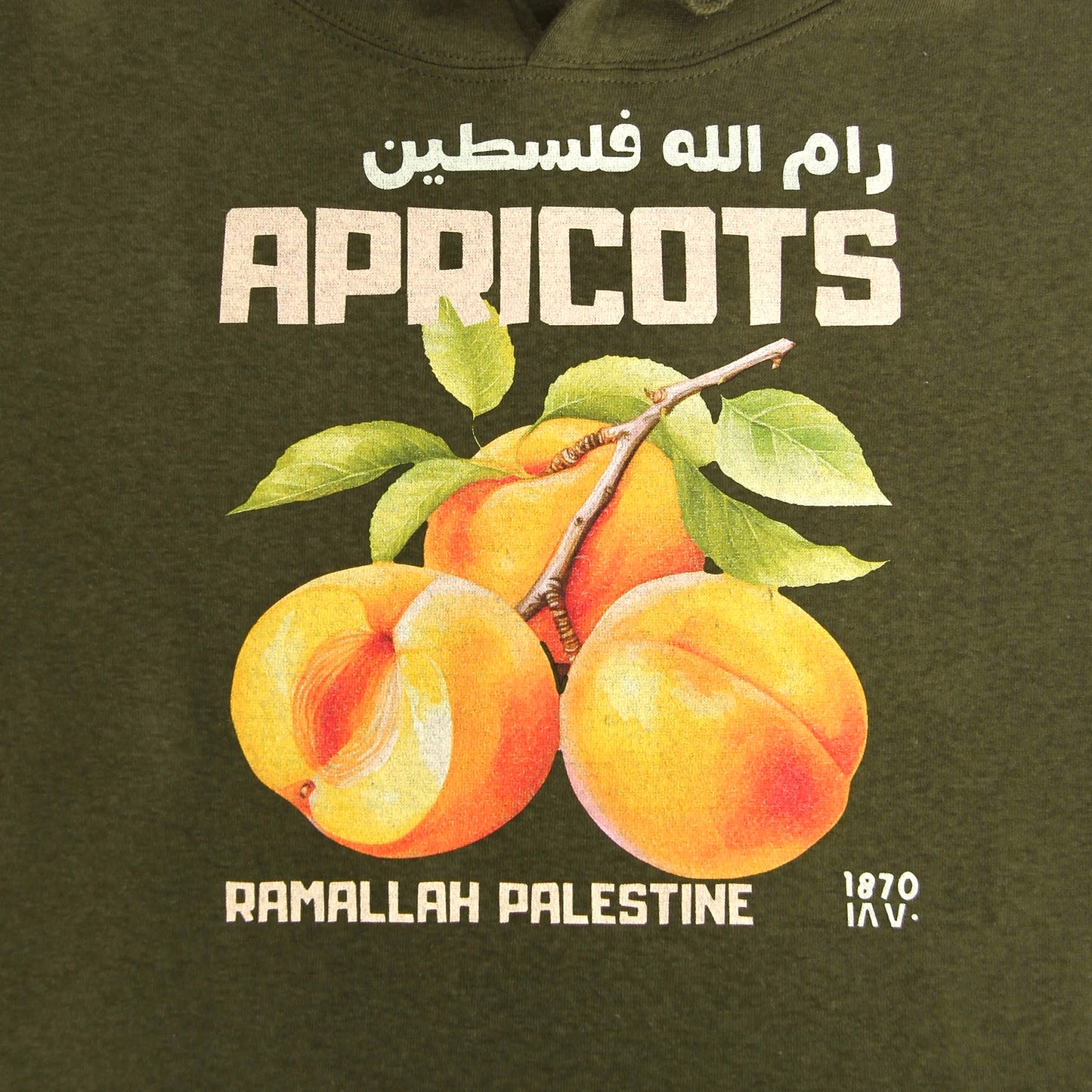 Ramallah's Apricots Hoodie