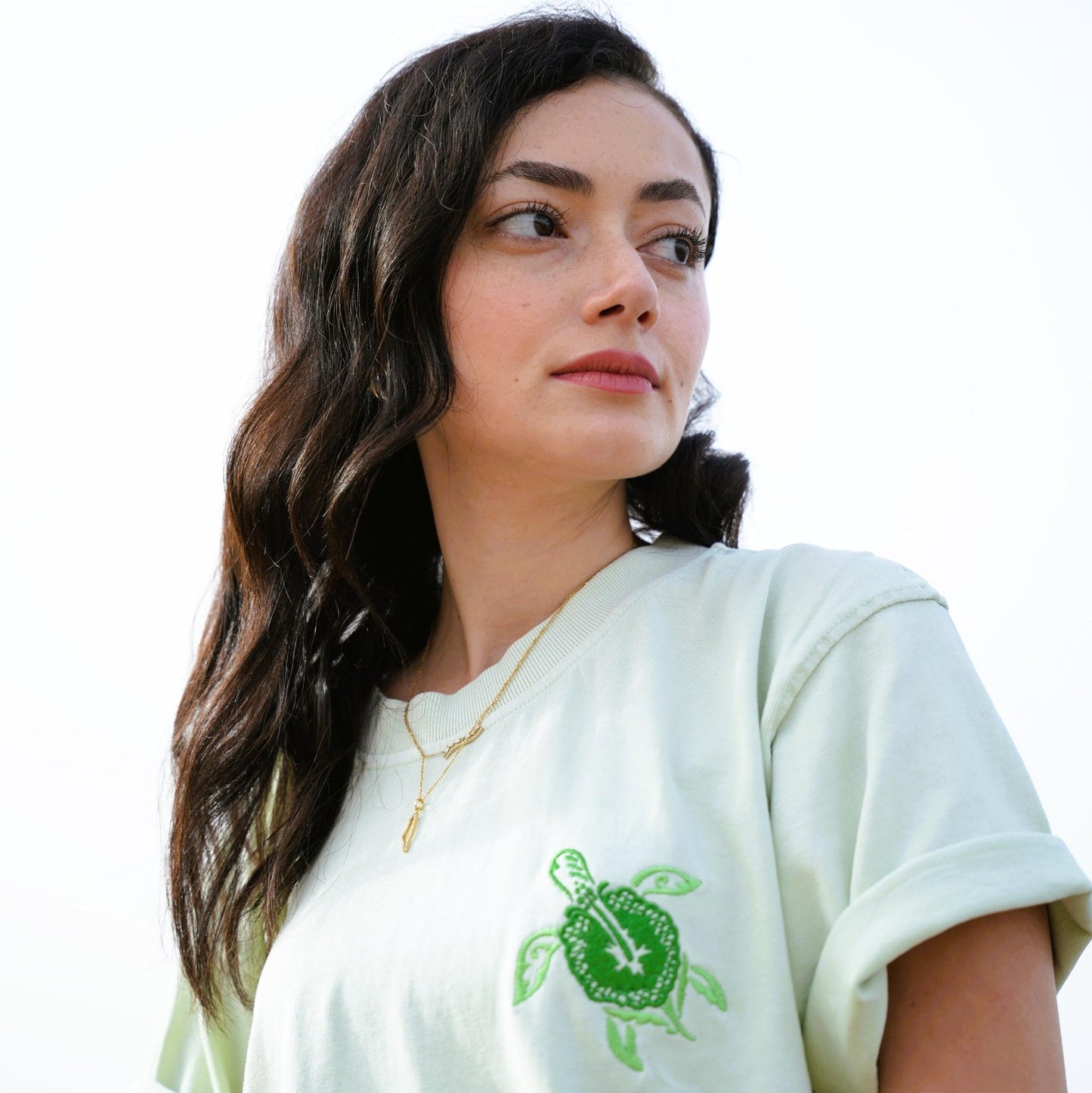 Gaza's Turtle Heavyweight Tee (Plestia X WTP) Wear The Peace Short Sleeves S