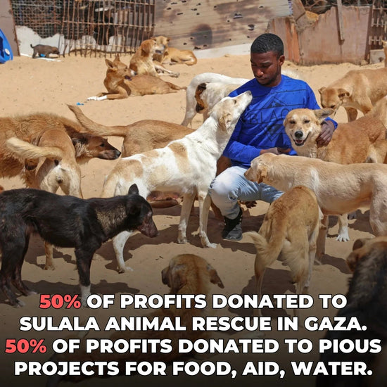 Pali Cat Heavyweight Tee Wear The Peace Short Sleeves S