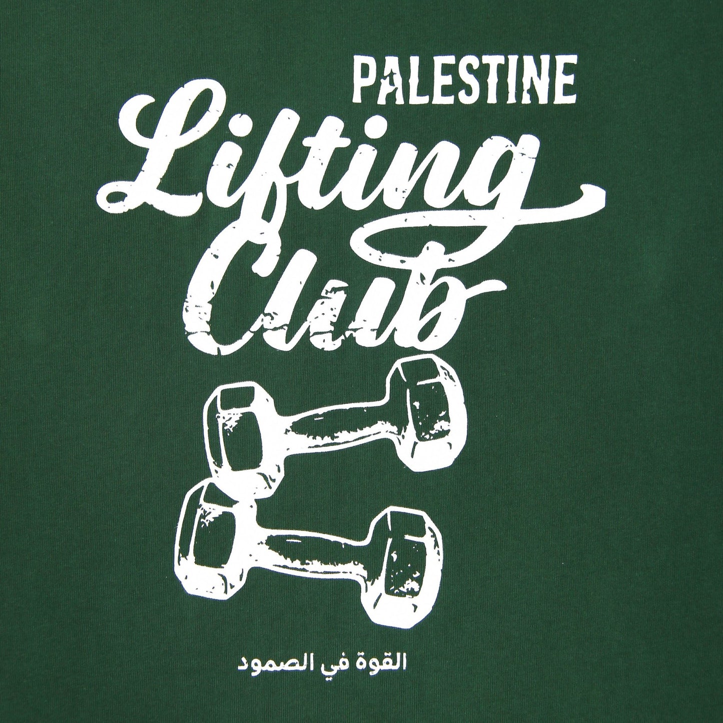 Pali Lifting Club Heavyweight Tee Wear The Peace Short Sleeves S