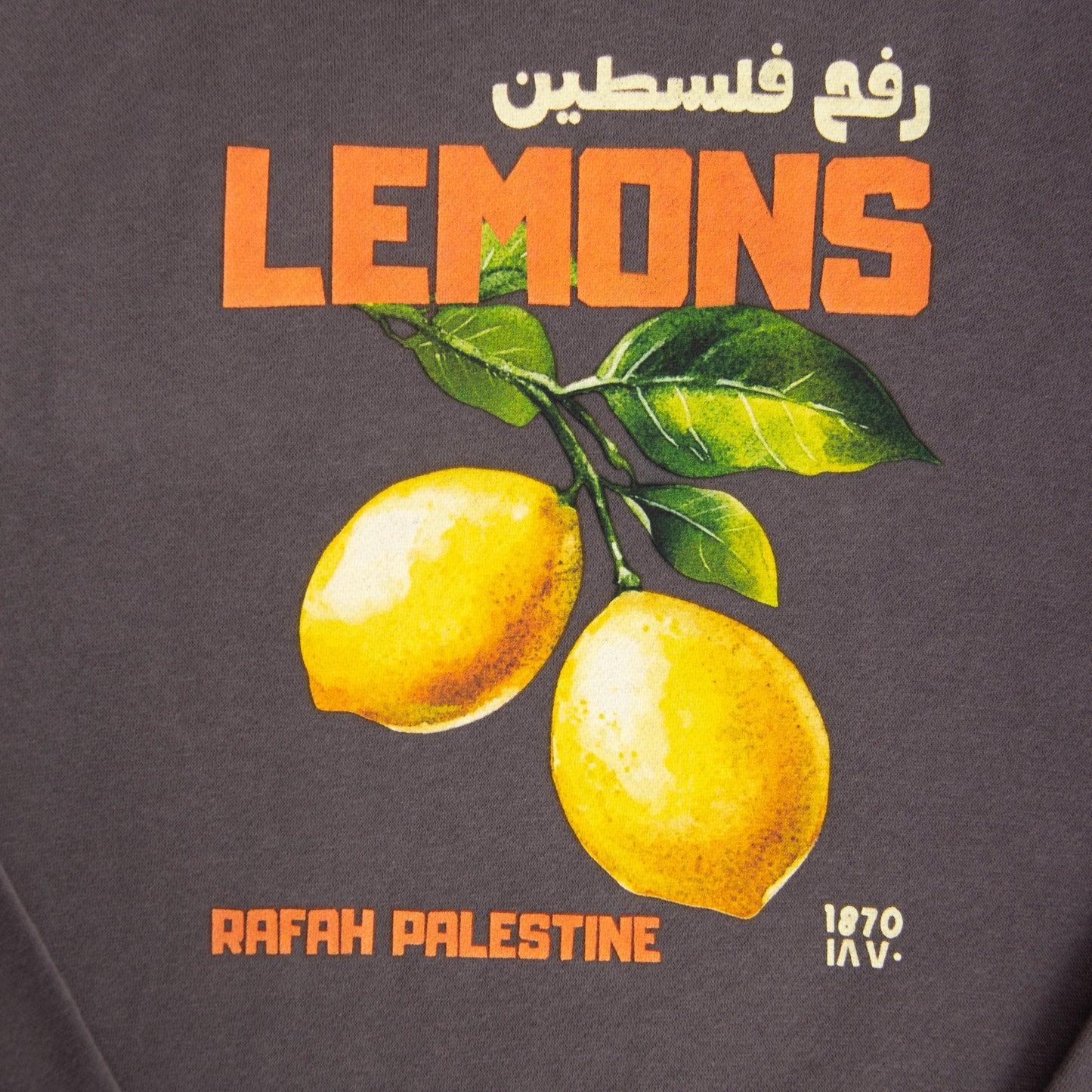 Rafah's Lemons Hoodie Wear The Peace Hoodies S