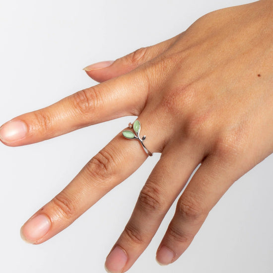 The Olive Collection Bundle Wear The Peace Bundle