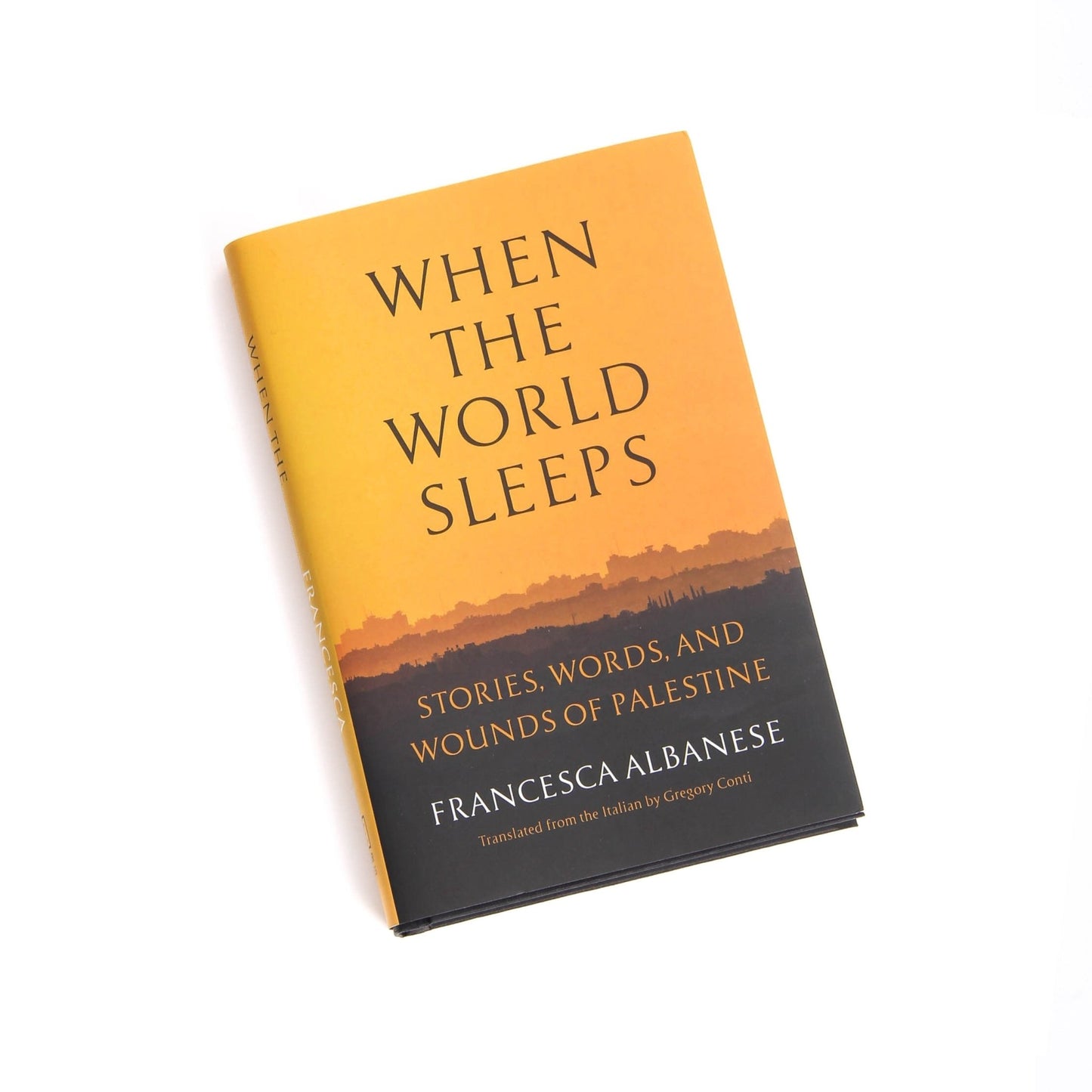 When The World Sleeps | Francesca Albanese Wear The Peace Book