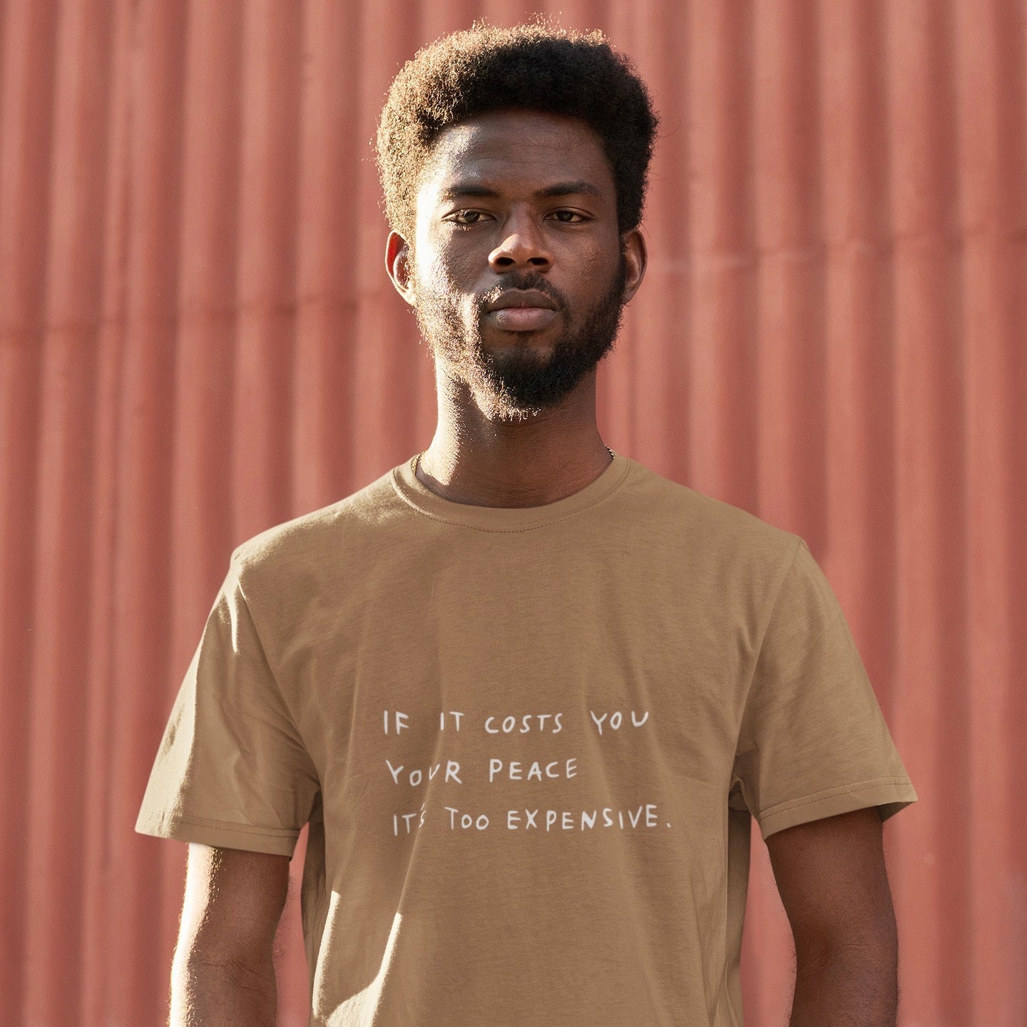 The Cost Of Peace Lavender & Brown Tee Wear The Peace Short Sleeves Brown S
